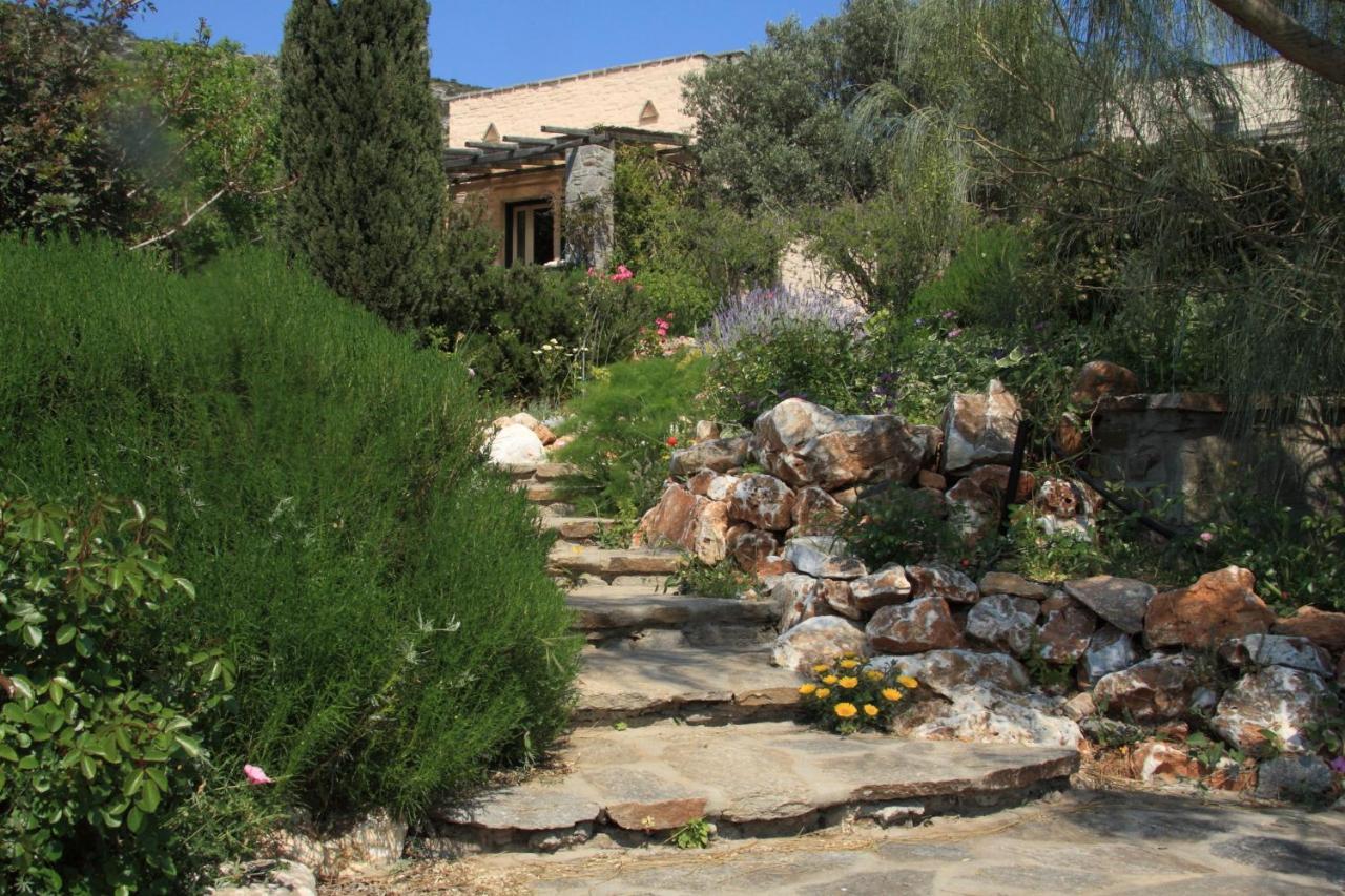 To The Garden Konuk evi Angairiá Dış mekan fotoğraf